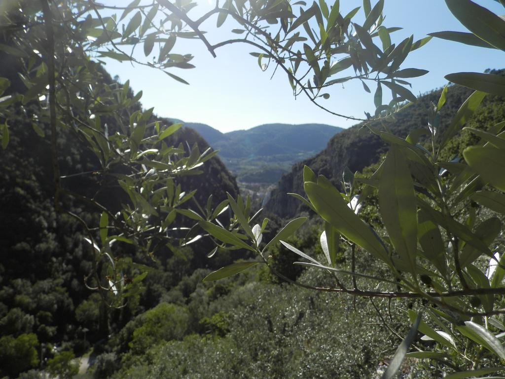 Residenza Di Paese Castello Del Poggio Hotel Ferentillo Buitenkant foto